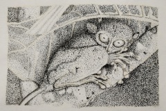 Evelien Dijk; maart 2023, inkt op papier, 10,1 x 15,5 cm.